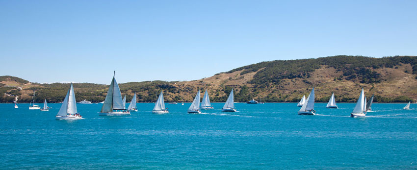 slide6_Regatta slide6_Regatta